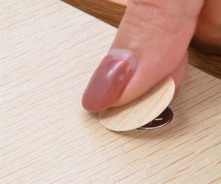 plastic screw cover (2)